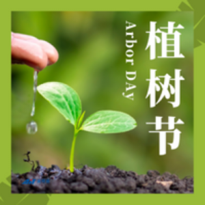 3月12日植樹節——讓世界多點綠色